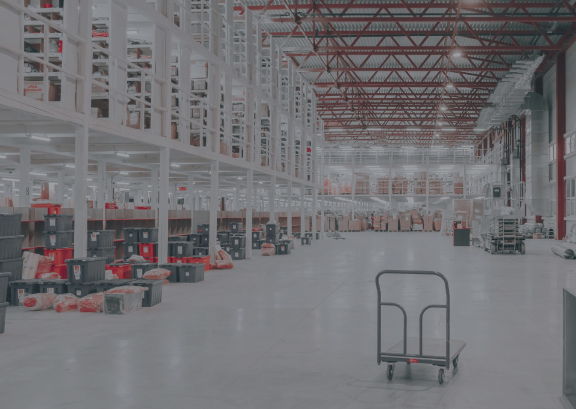 Optimized Product Search